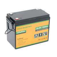 Аккумуляторная батарея ECO-WORTHY LiFePO4 25,6V 100Ah,(80/100A)