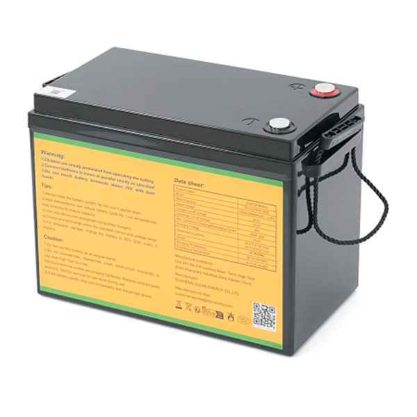 Аккумуляторная батарея ECO-WORTHY LiFePO4 25,6V 100Ah,(80/100A)