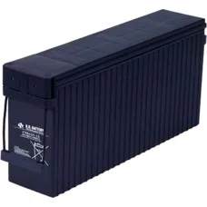 Аккумуляторная батарея BB Battery FTB125-12